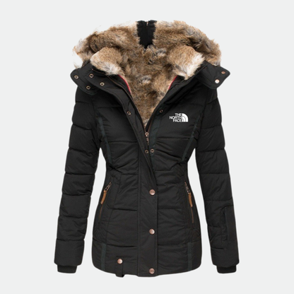 Elegance and Stylish Jacket